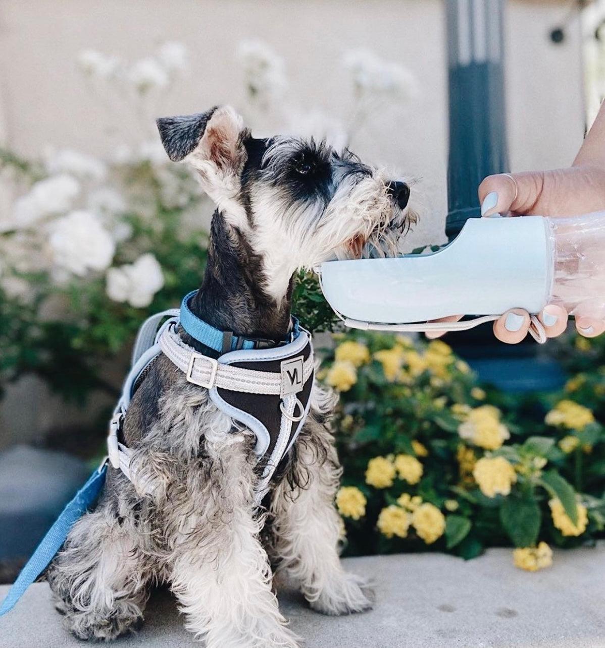 2-in-1 Pet Water Bottle – Portable Food and Water – Blue