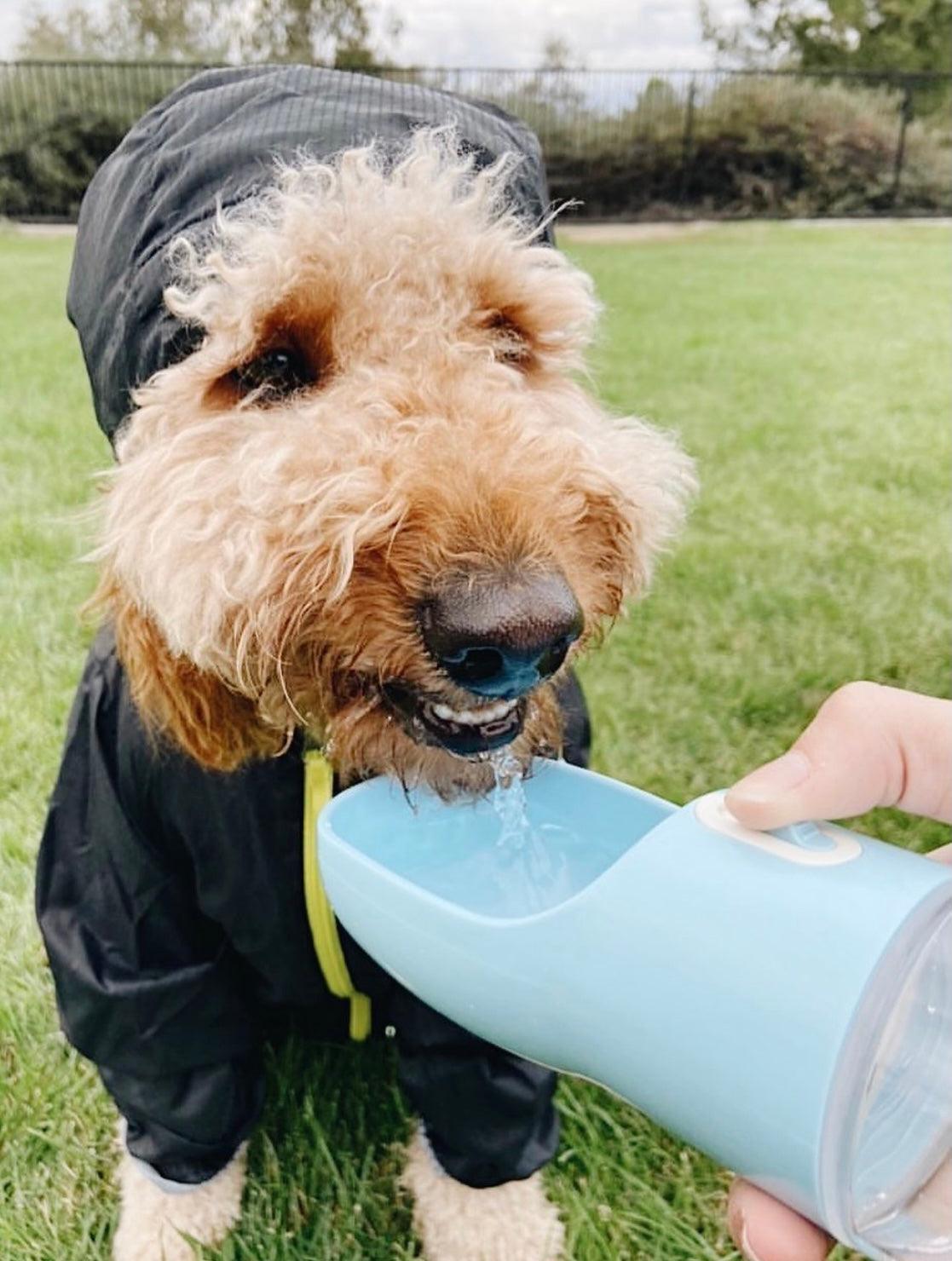 2-in-1 Pet Water Bottle – Portable Food and Water – Blue