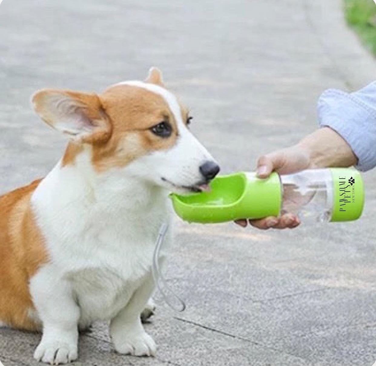 2-in-1 Pet Water Bottle – Portable Food and Water Dispenser – Green