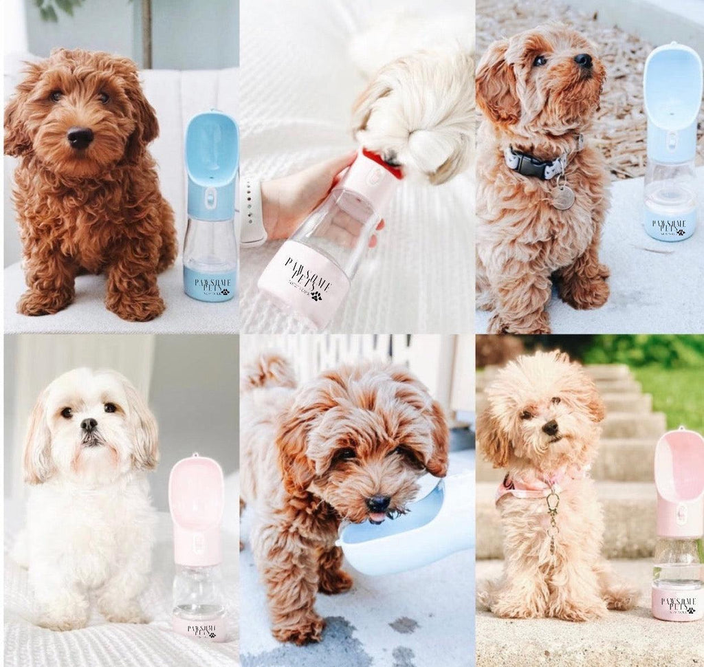 Borraccia 2 in 1 per Animali Domestici – Cibo e Acqua Portatile – Verde