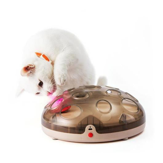 Giocattolo Magnetico Interattivo per Gatti