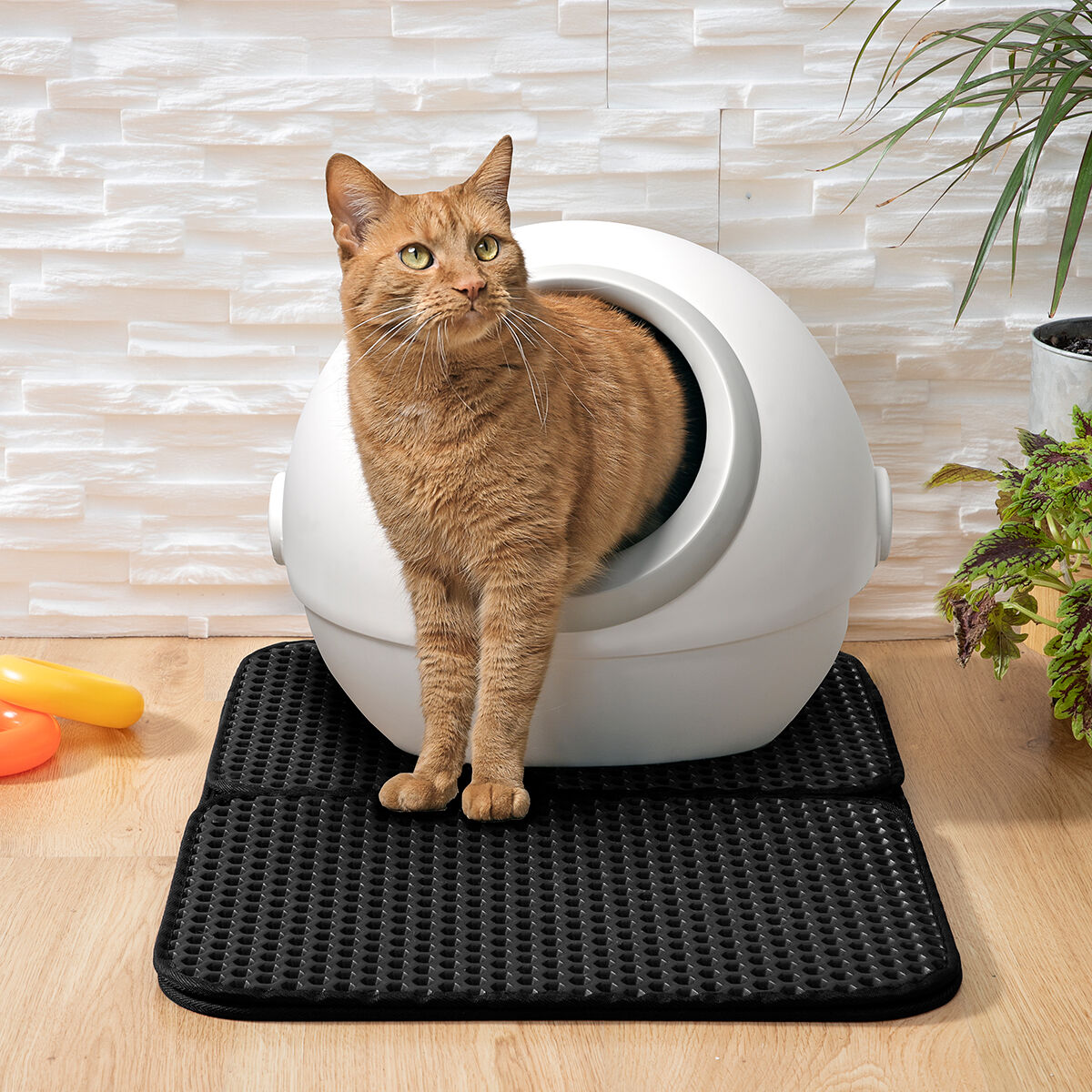 Tappetino per Lettiera Gatto InnovaGoods