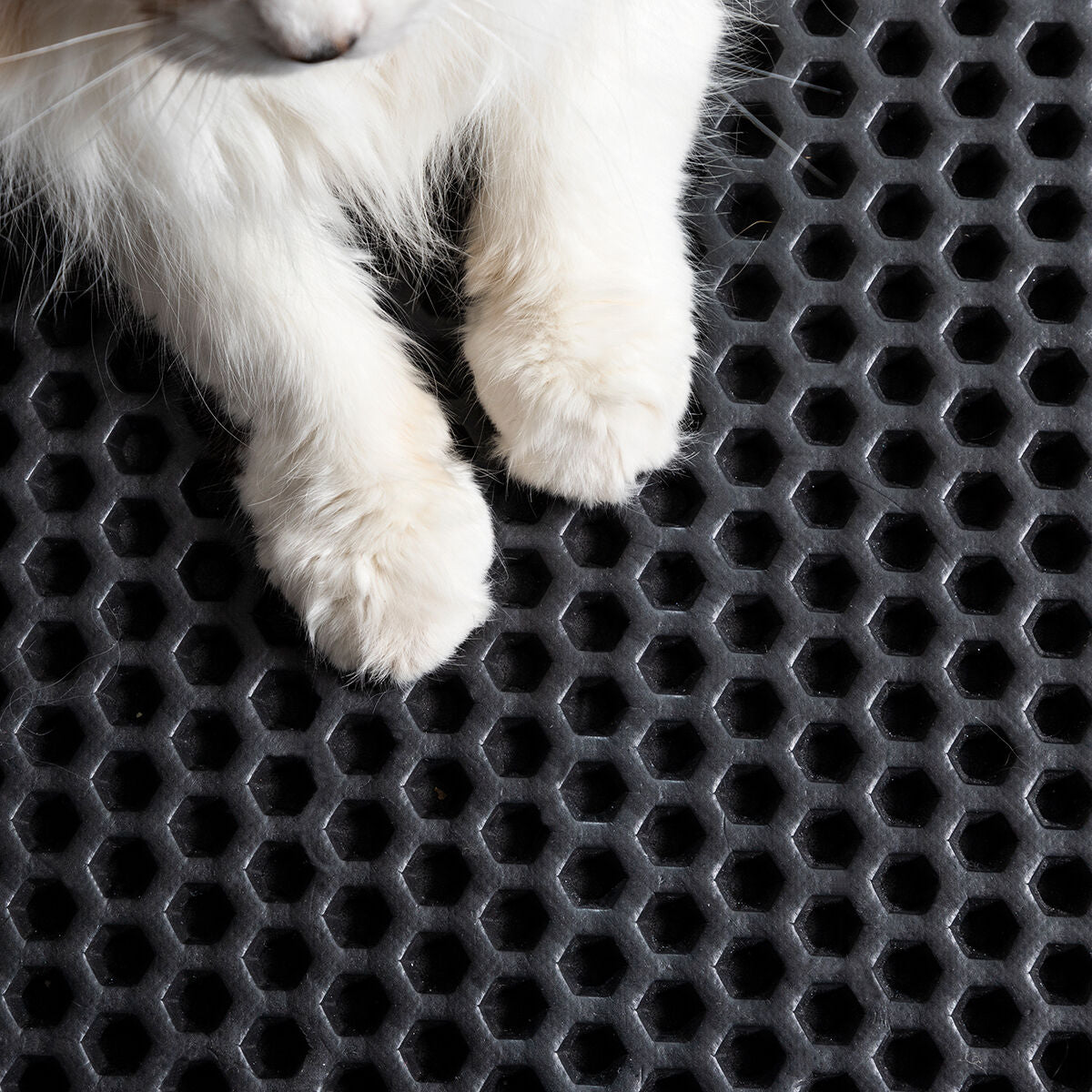 Tappetino per Lettiera Gatto InnovaGoods