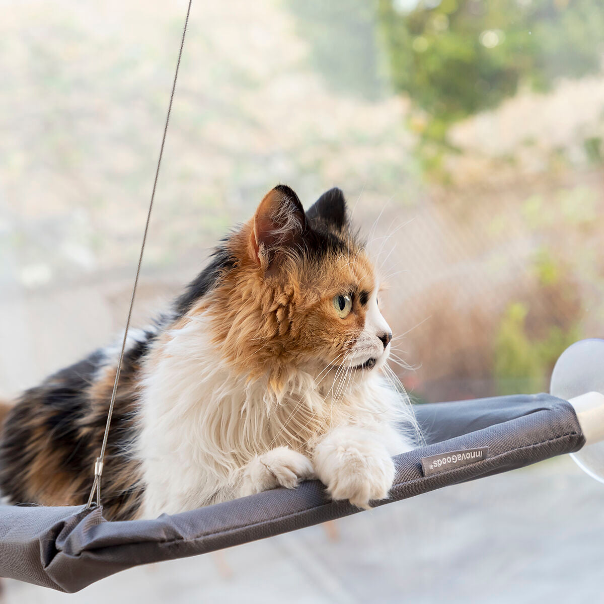Catlax InnovaGoods Hanging Cat Hammock - With Suction Cups for Windows